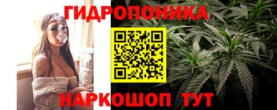 трава Усть-Джегута