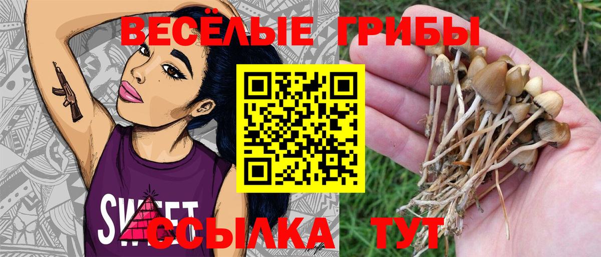 Галлюциногенные грибы ЛСД  наркота  Вход с VPN  Белебей  Галлюциногенные грибы ЛСД 
